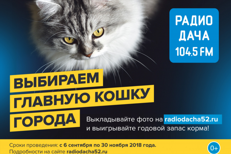 Радио дача fm