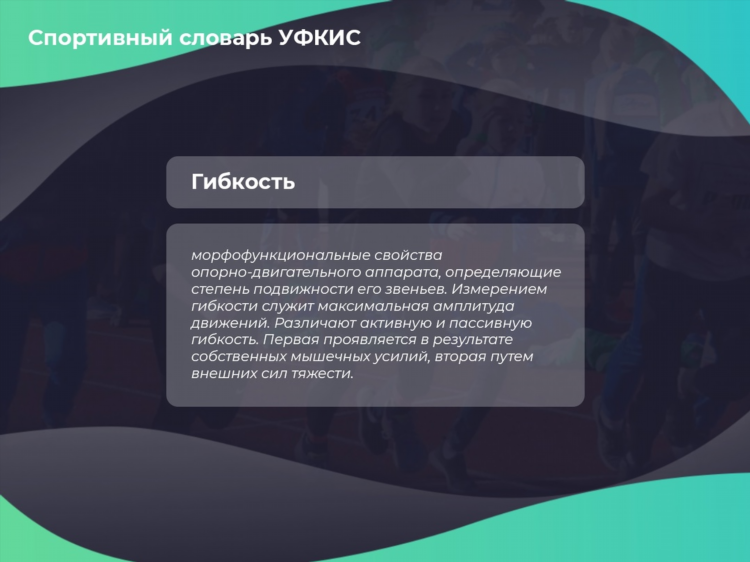 Радио рекорд яндекс 3a нашлось 3 тыс результатов
